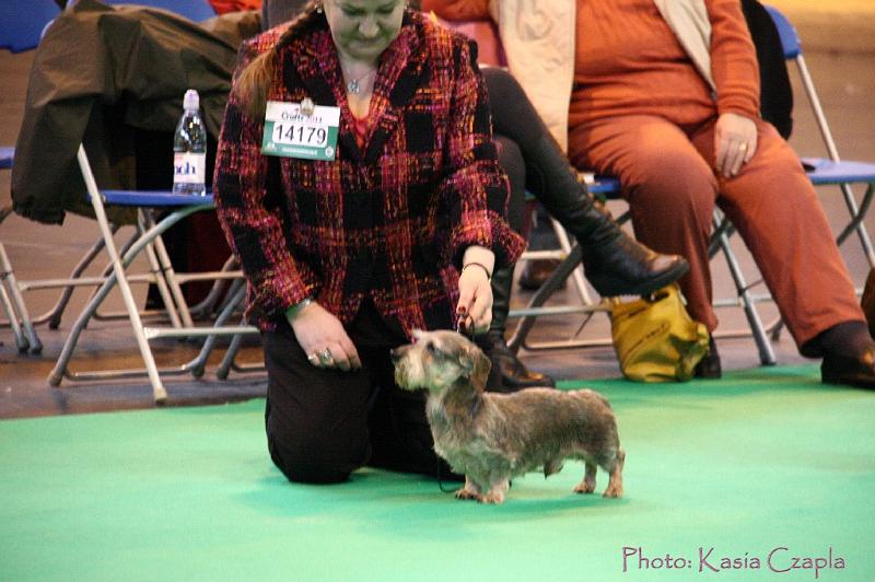 Crufts2011_2 416.jpg